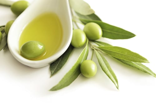 The Incredible Health Benefits of Olive Leaf Extract